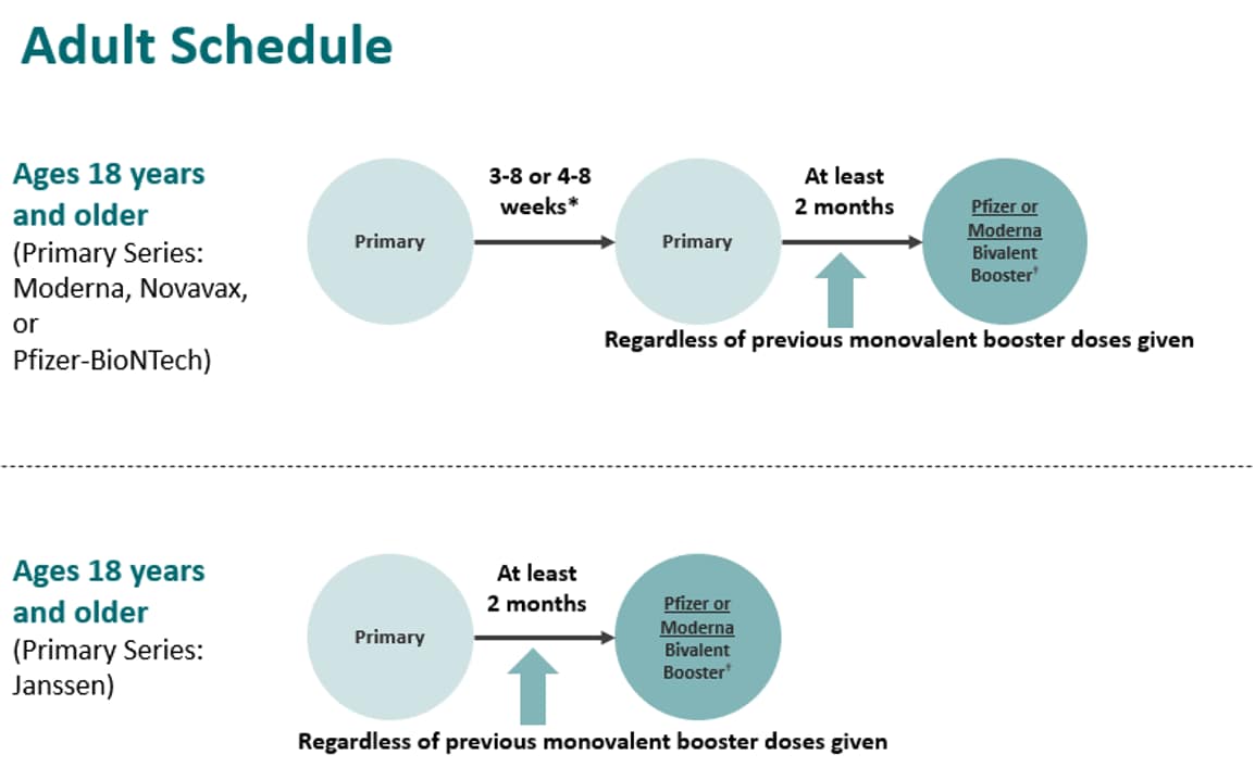 COVID-19 vaccination schedule for adults who are not moderately or severely immunocompromised and are willing and able to get a bivalent mRNA booster.