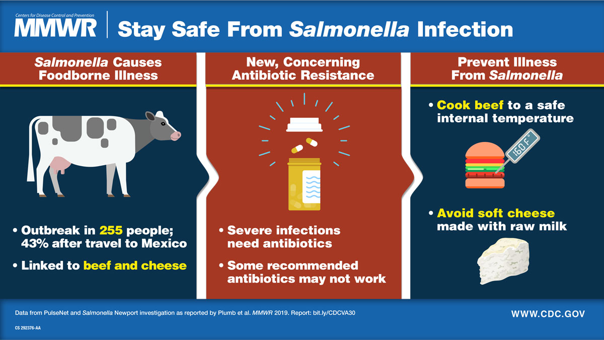 Visual abstract with text: Outbreak in 255 people, 43% after travel to Mexico. Linked to beef and cheese. Severe infections need antibiotics. Some recommended antibiotics may not work. Cook beef to a safe internal temperature. Avoid soft cheeses made with raw milk.