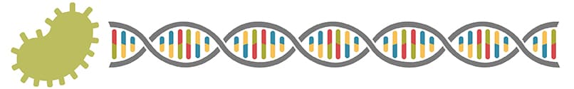 Colorful DNA strand heading away from green microbe as though being pulled out