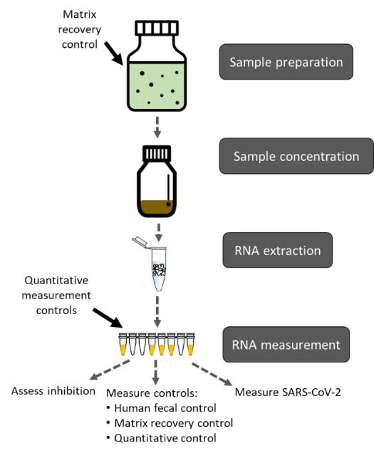 Wastewater-based disease surveillance is a rapidly developing science. Find out more on the Wastewater Surveillance Testing Methods page.