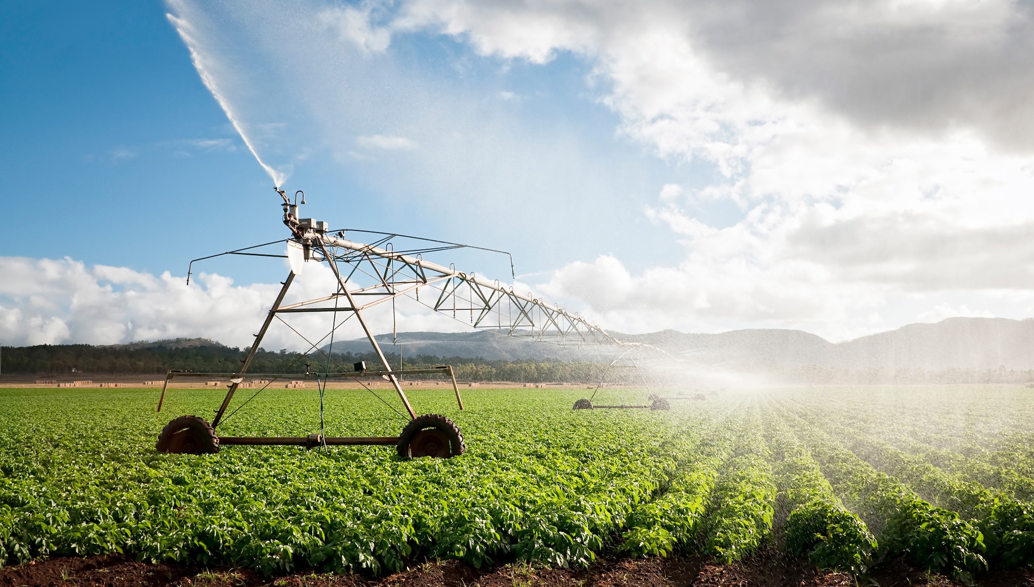 An agriculture crop irrigation