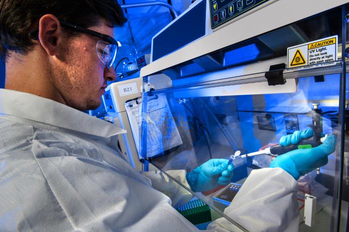 Public health scientist setting up a PCR test