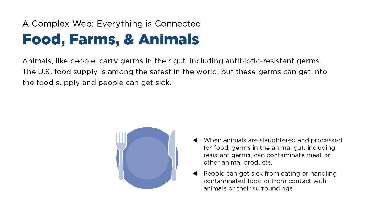 A Complex Web: Everything is Connected - Food, Farms, & Animals