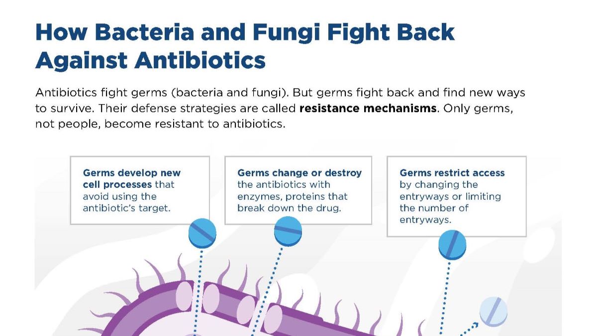 how germs fight back against antibiotics