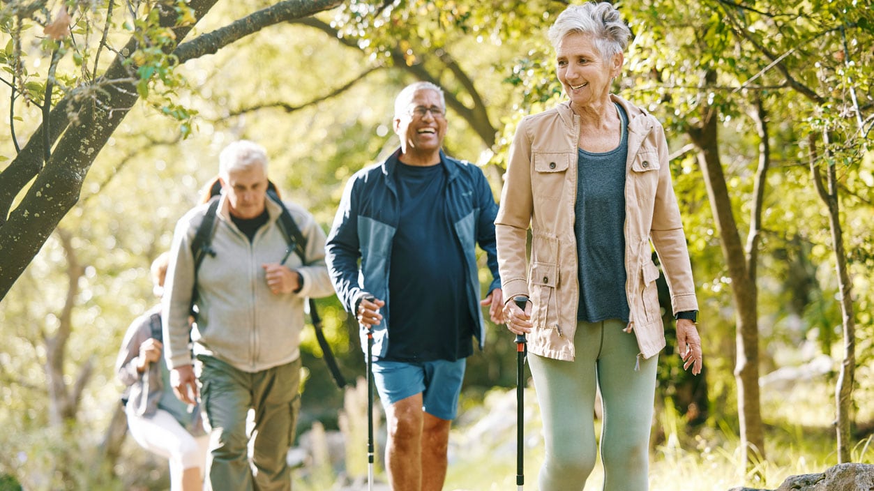 A group of four adults hiking in nature together