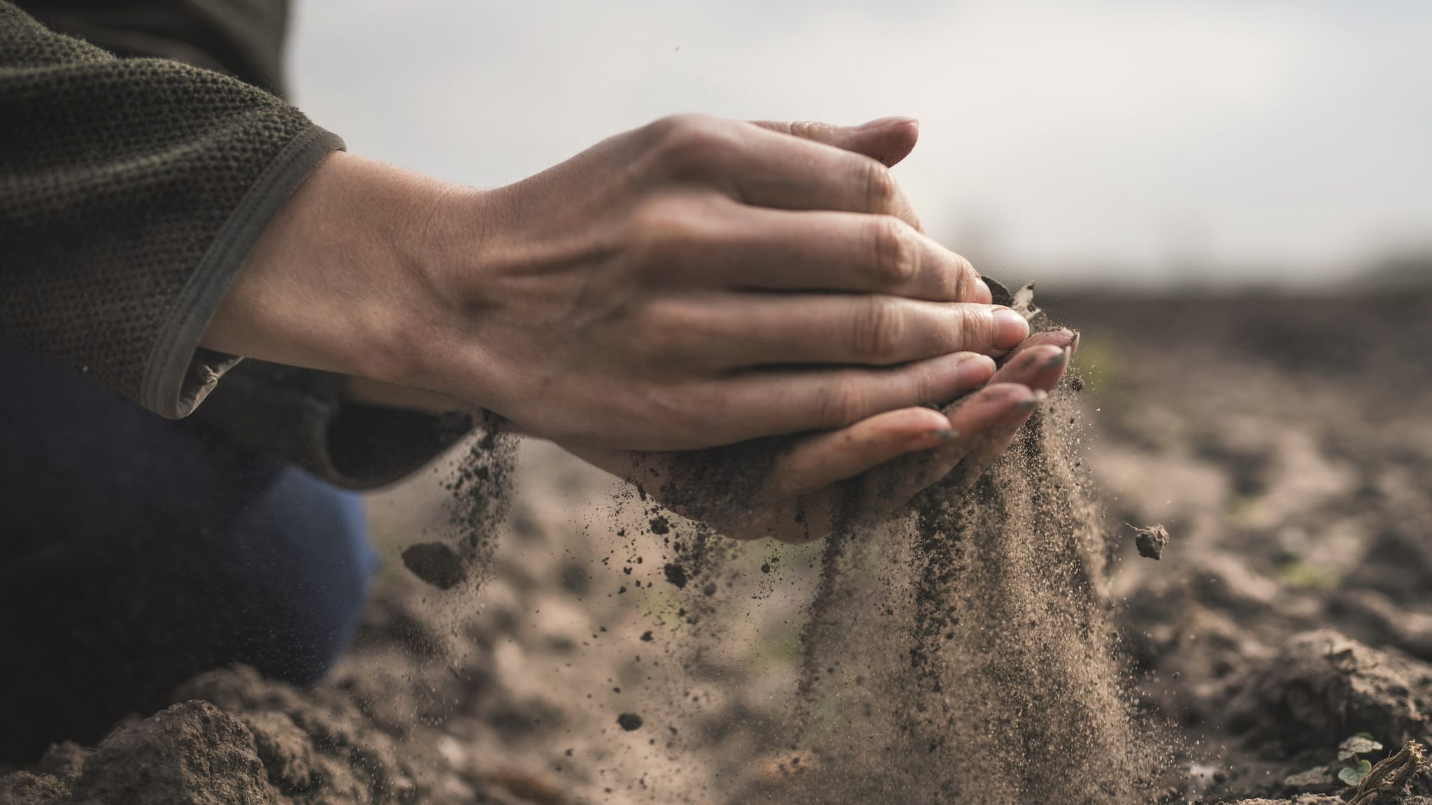 Closeup of a woman's hands sifting dirt.