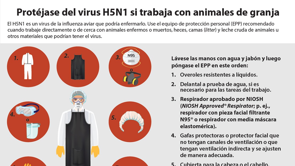 Protect Yourself From H5N1 When Working With Farm Animals (Spanish)