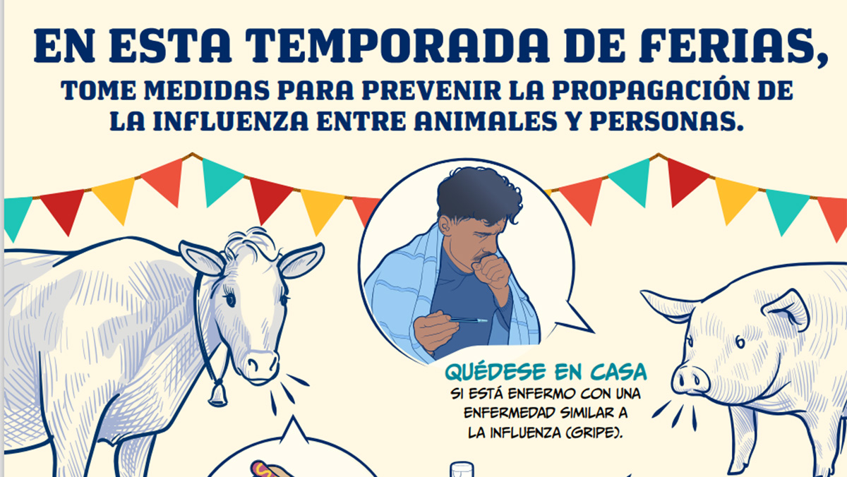 fair attendees: take actions to prevent flu at the fair (spanish)