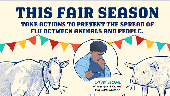 this fair season take actions to prevent the spread of flu between animals and people. pdf thumbnail