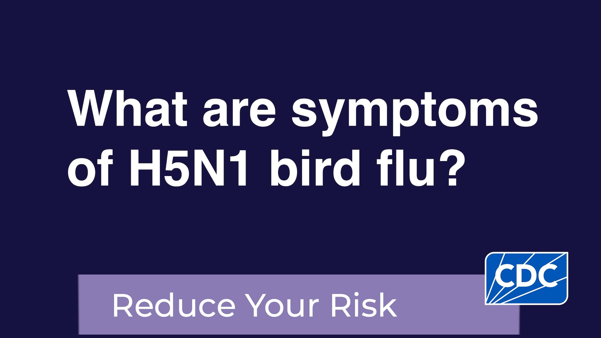 What are symptoms of H5N1 bird flu?