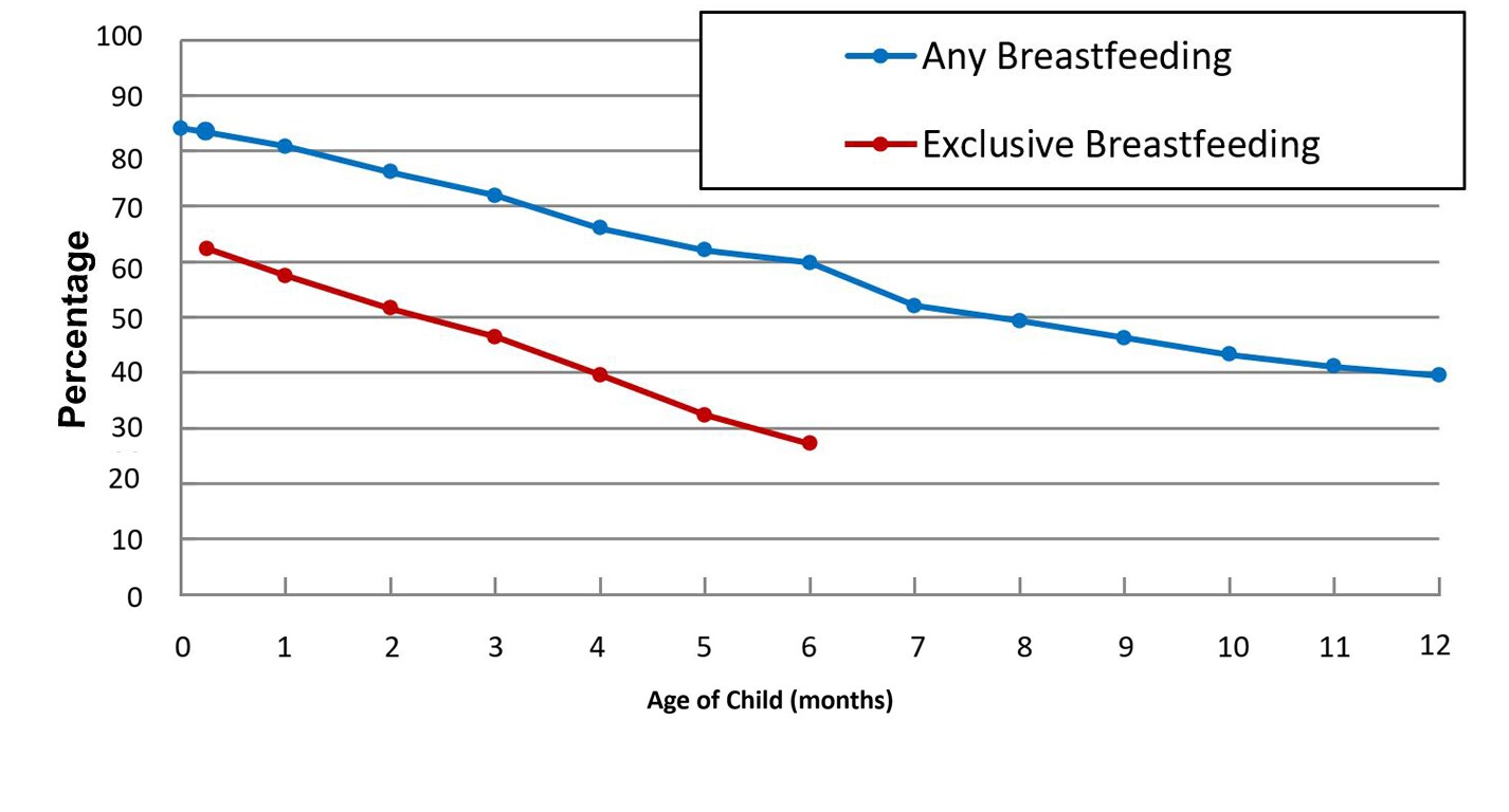 Rates of Any and Exclusive Breastfeeding by Age Among Children Born in 2020, United States