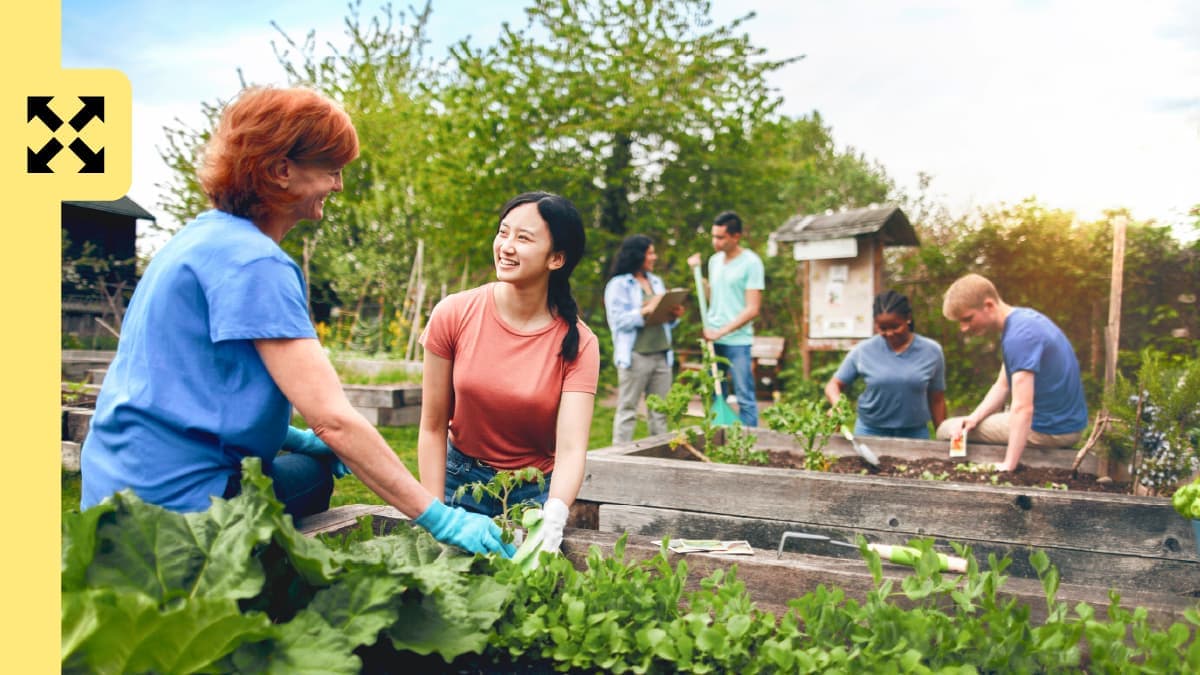 A group of people growing crops in a garden.