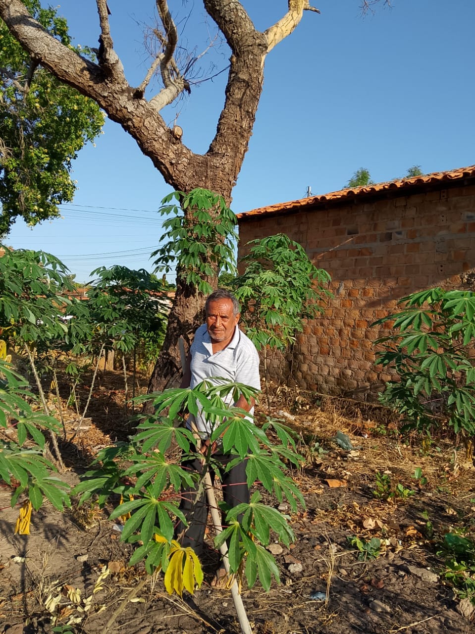 Gustavo standing behind a tree on his farm.