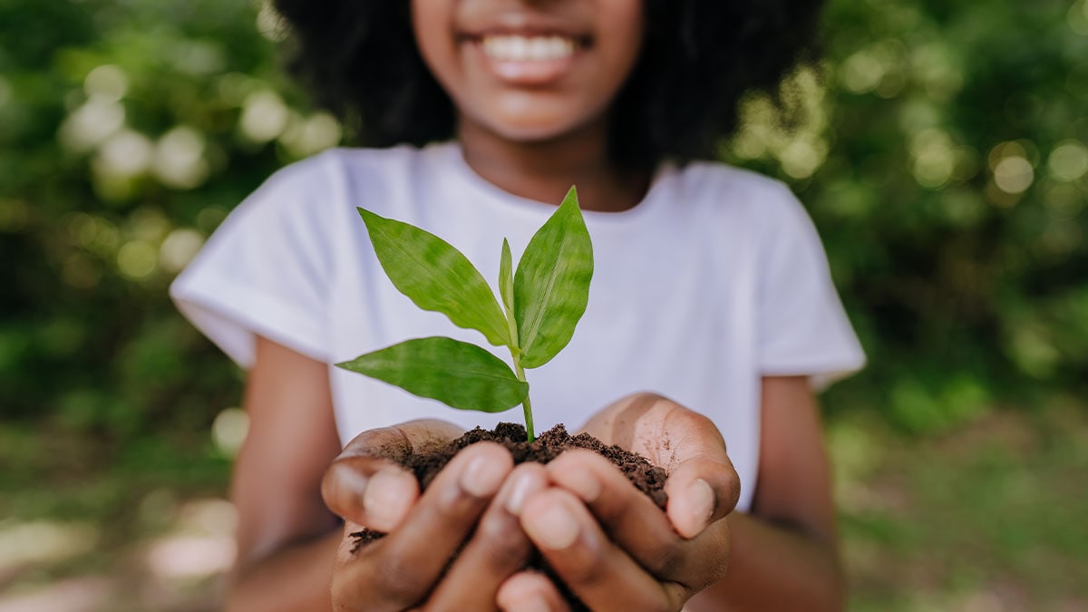 Girl planting a small tree.