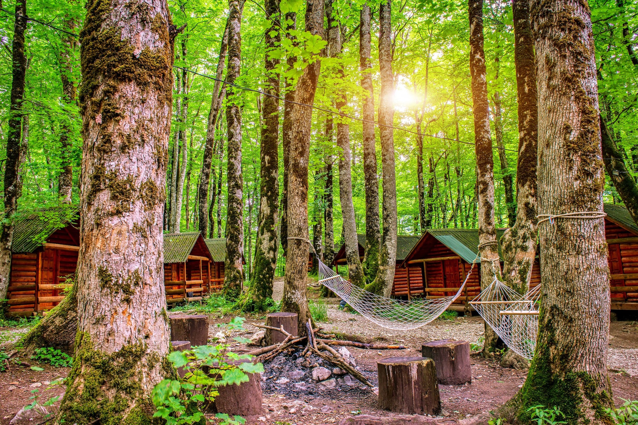 Cabins in the woods at a sleepaway camp.