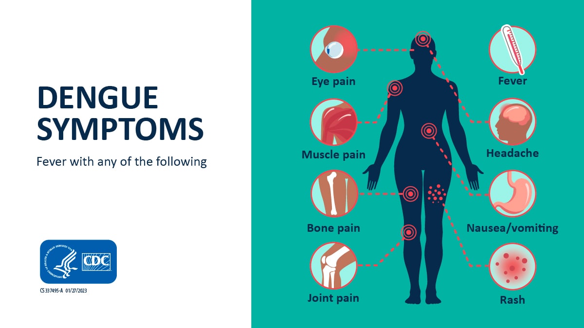 Human silhouette with callout graphics with dengue symptoms: eye pain, fever, muscle pain, headache, bone pain, nausea, vomiting, joint pain, and rash.