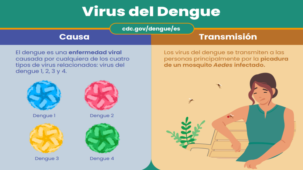 sobre el dengue pdf thumbnail