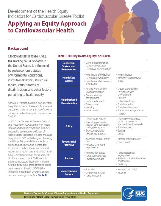 Health Equity Indicators Toolkit Executive Summary