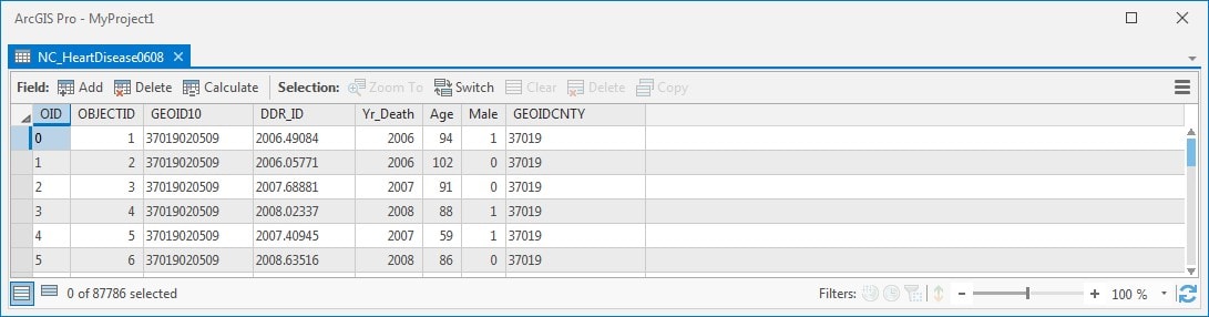 View of the dBase table.