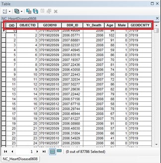 View of the record level heart disease death data.