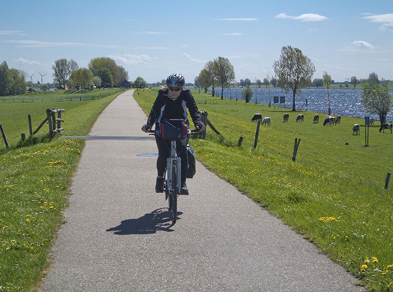 Dieter has been enjoying the spring weather by reading outside, taking long hikes, and going on bike rides through the countryside.