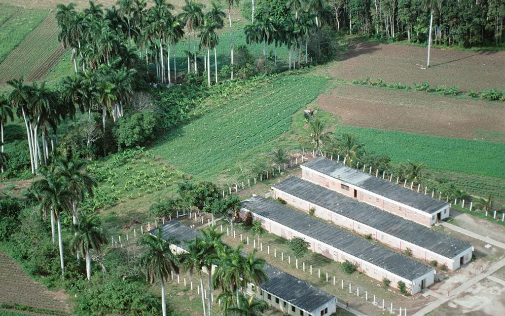 Many of the workers live in cramped apartments or on the plantation.