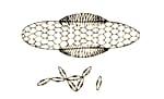 Anopheles Egg