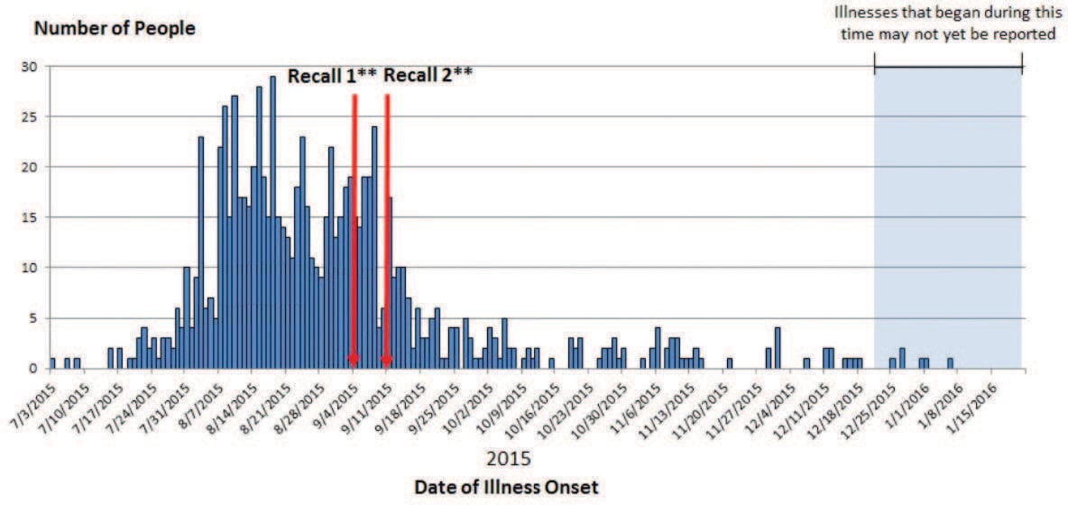 Persons infected with the outbreak strains of Salmonella Poona, by date of illness onset