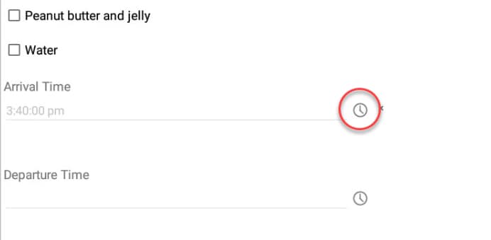 Screen shot of a section of a form which contains multiple time fields.