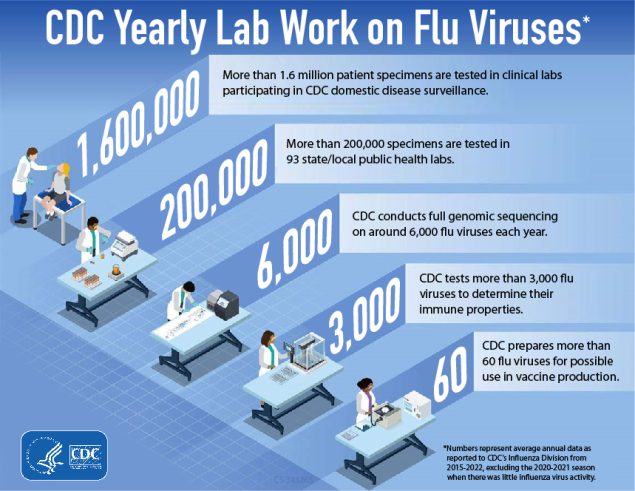 CDC Yearly Lab Work on Flu Viruses