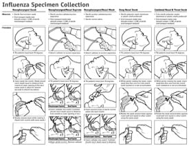 Influenza Specimen Collection Desk Reference Guide