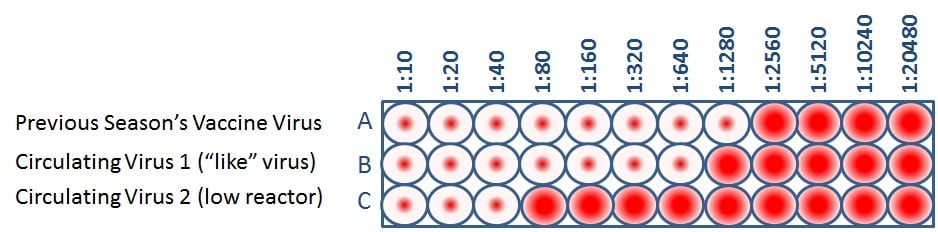 When CDC antigenically characterizes influenza viruses to inform decisions on the formulation of the seasonal flu vaccine, the HI test is used to compare currently circulating viruses (B%26C) with vaccine viruses (A).