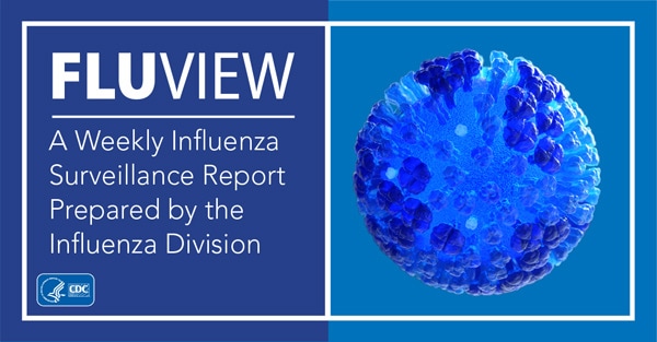 FluView A Weekly Influenza Surveillance Report Prepared by the Influenza Division