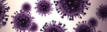 Purple viruses floating against a cream background