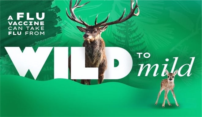 A flu vaccine can take flu from wild to mild. A stag stands behind and a fawn to the right