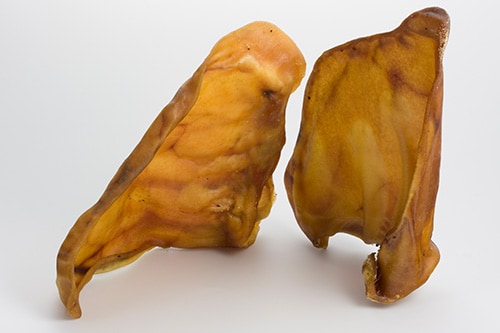 pig ear pet treats for dog