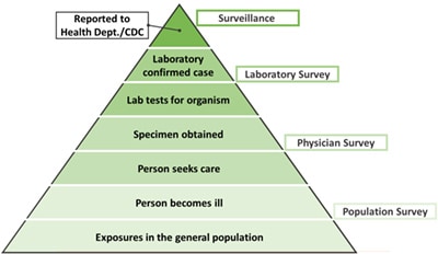 Burden of illness pyramid outlining steps from when somebody gets sick to when illness is reported. Steps listed below.