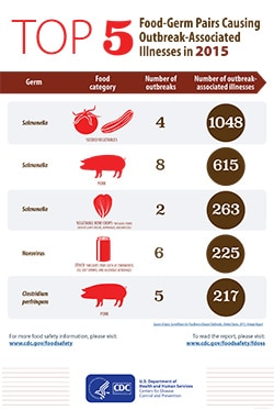 Top 5 Food-Germ Pairs Causing Outbreak-Associated Illnesses in 2015