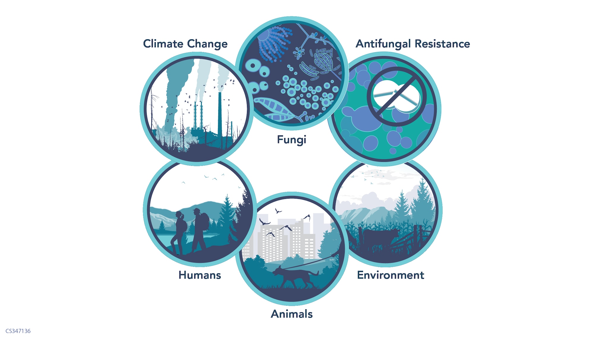 circles representing climate change, fungi, antifungal resistance, animals, humans, and the environment