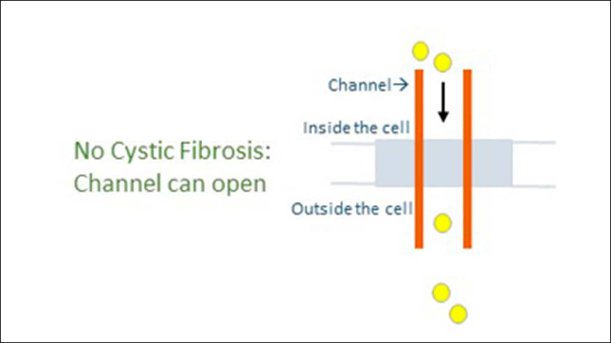 Diagram showing the channel working properly, with particles passing through