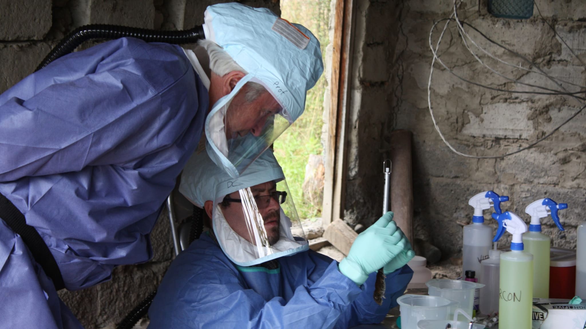 Disease detectives examine a sample wearing PPE.