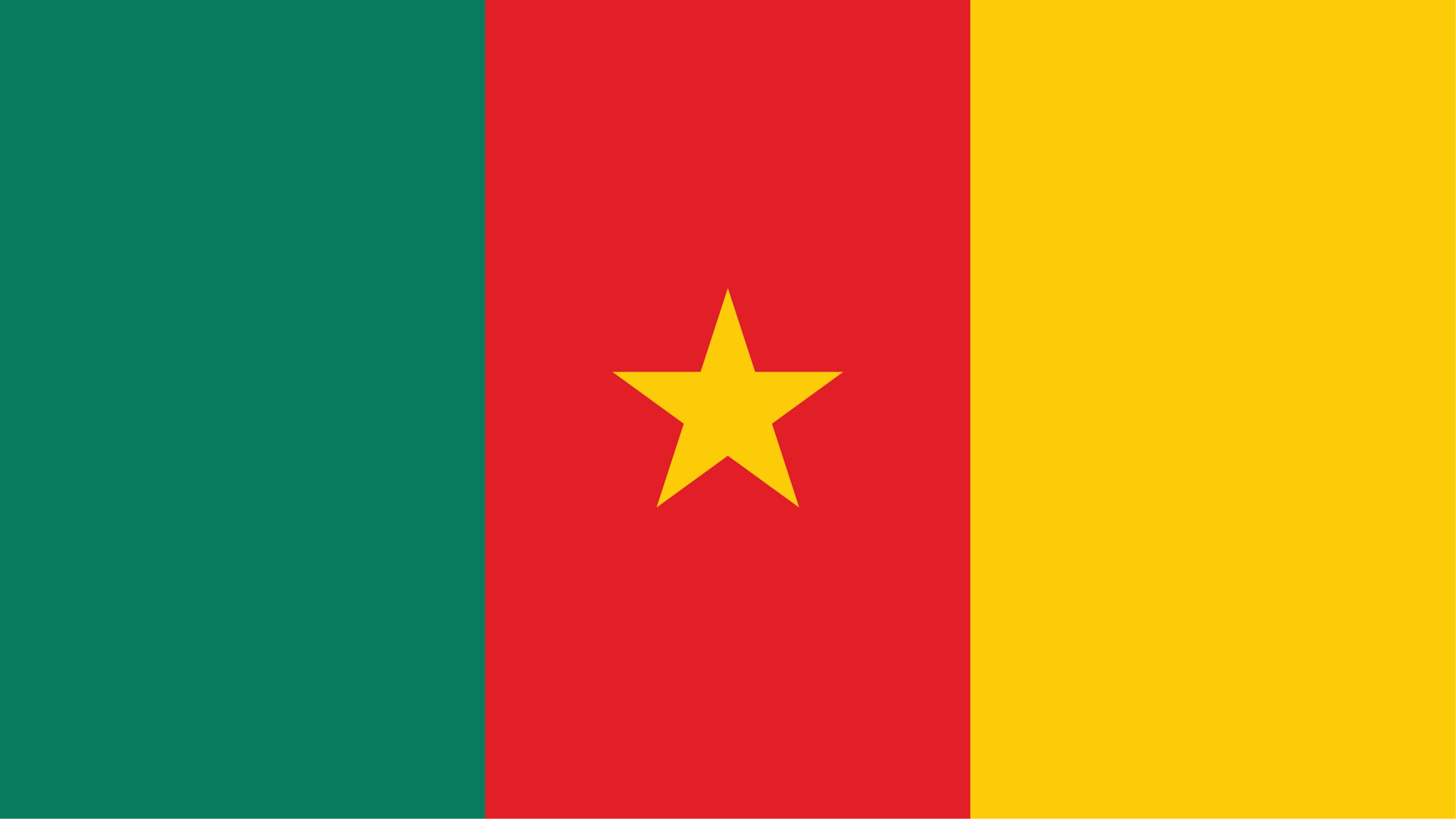 Flag of Cameroon. Three equal vertical bands of green (hoist side), red, and yellow, with a yellow five-pointed star centered in the red band.