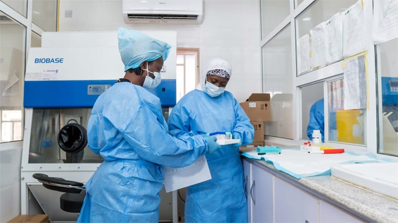 two people testing COVID-19 samples