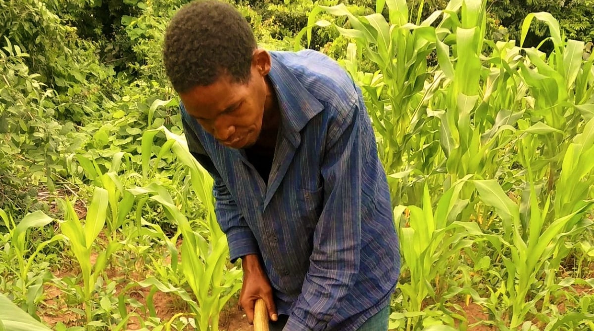 Image of TB survivor, Mr. Ramadhani Bernadina, working in his garden.