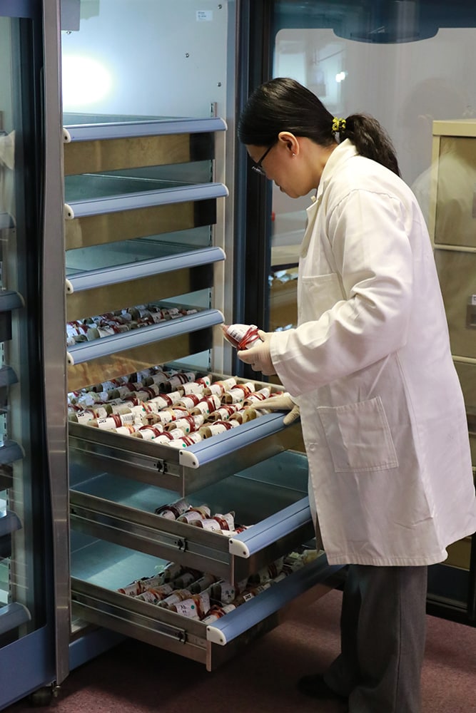 Lab technician stores blood samples at the Eswatini Blood Bank.