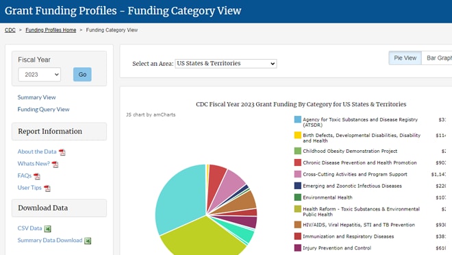 Pie chart illustrating grant funding by category.