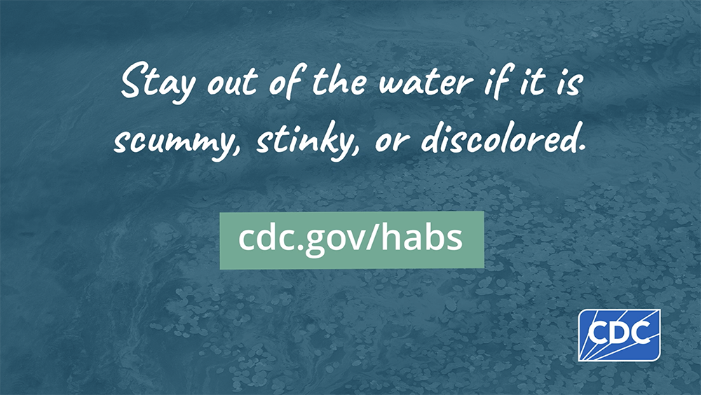 Stay out of the water if it is scummy, stinky, or discolored.