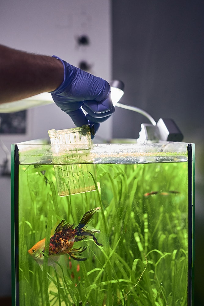 Person checking water temperature