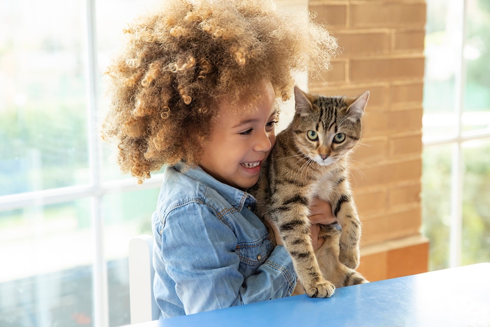 Young girl playing with cat