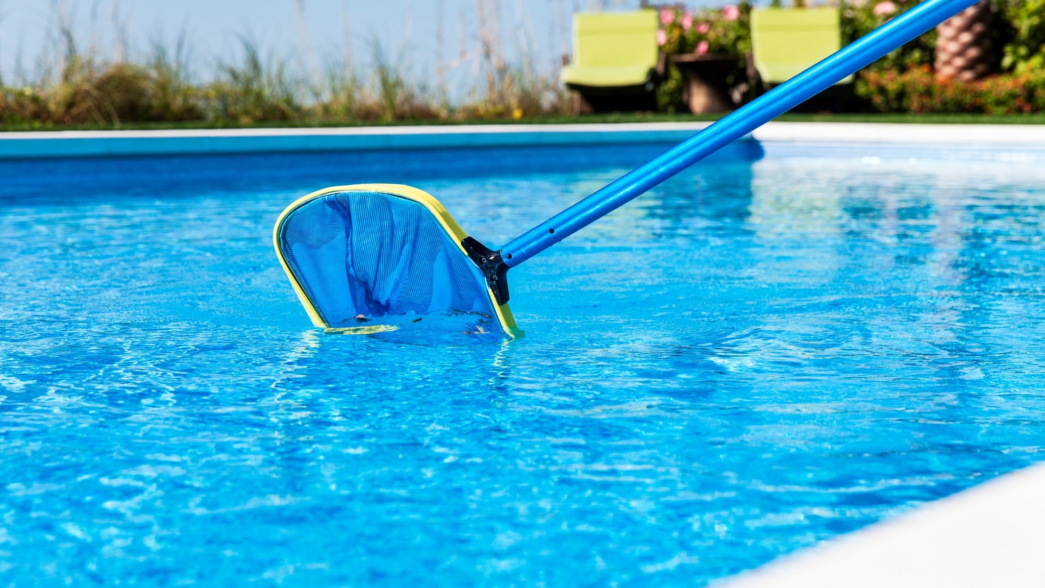 Pool net scooping something out of the pool water.